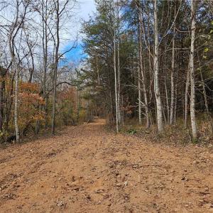 Photo #15 of 125 Ahart Ridge, Ararat, VA 163.0 acres