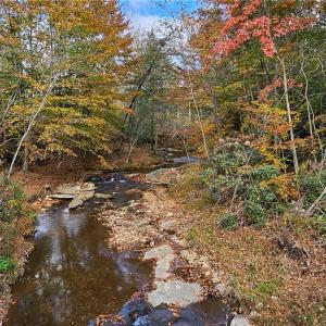 Photo #11 of 125 Ahart Ridge, Ararat, VA 163.0 acres