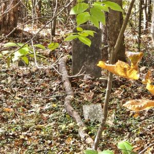 Photo #21 of 125 Ahart Ridge, Ararat, VA 163.0 acres