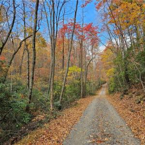 Photo #7 of 125 Ahart Ridge, Ararat, VA 163.0 acres