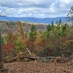 Photo #19 of 125 Ahart Ridge, Ararat, VA 163.0 acres