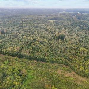 Photo #6 of High Rock School, Blanch, NC 22.4 acres