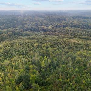 Photo #13 of High Rock School, Blanch, NC 22.4 acres