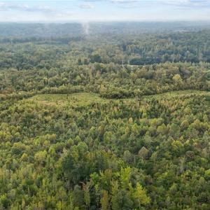 Photo #12 of High Rock School, Blanch, NC 22.4 acres