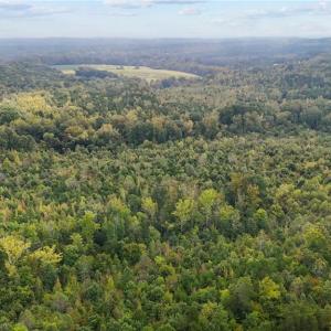 Photo #14 of High Rock School, Blanch, NC 22.4 acres