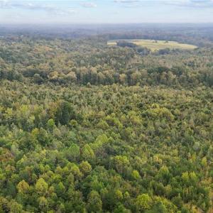 Photo #15 of High Rock School, Blanch, NC 22.4 acres