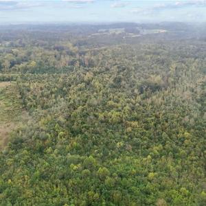 Photo #8 of High Rock School, Blanch, NC 22.4 acres