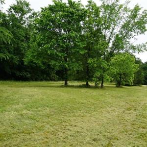 Photo #2 of 253 Urban, Thomasville, NC 5.3 acres