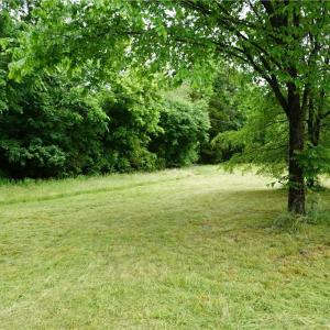Photo #6 of 253 Urban, Thomasville, NC 5.3 acres