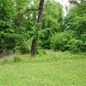 Photo #13 of 253 Urban, Thomasville, NC 5.3 acres