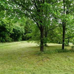 Photo #7 of 253 Urban, Thomasville, NC 5.3 acres