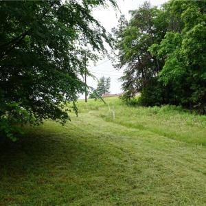 Photo #9 of 253 Urban, Thomasville, NC 5.3 acres