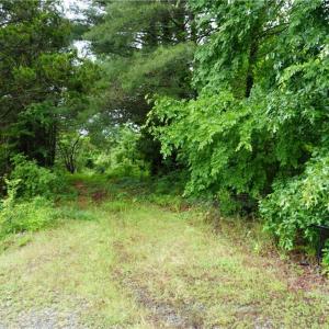 Photo #14 of 253 Urban, Thomasville, NC 5.3 acres