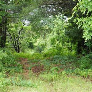 Photo #15 of 253 Urban, Thomasville, NC 5.3 acres