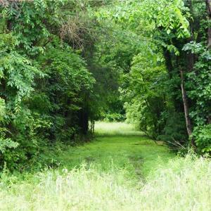 Photo #11 of 253 Urban, Thomasville, NC 5.3 acres