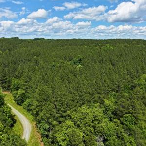 Photo #23 of 1240 Moschler, Gretna, VA 512.9 acres