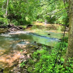 Photo #27 of 1240 Moschler, Gretna, VA 512.9 acres