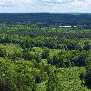 Photo #6 of 1240 Moschler, Gretna, VA 512.9 acres