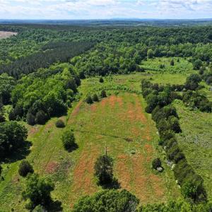 Photo #13 of 1240 Moschler, Gretna, VA 512.9 acres