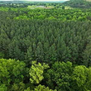 Photo #16 of 1240 Moschler, Gretna, VA 512.9 acres
