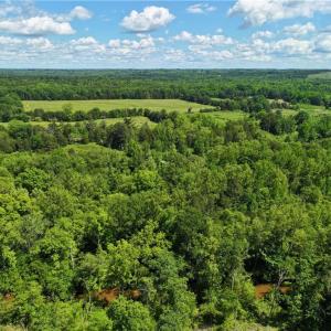 Photo #12 of 1240 Moschler, Gretna, VA 512.9 acres
