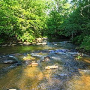 Photo #22 of 1240 Moschler, Gretna, VA 512.9 acres