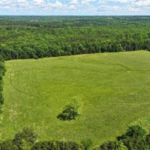 Photo #7 of 1240 Moschler, Gretna, VA 512.9 acres