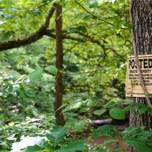 Photo #32 of 1240 Moschler, Gretna, VA 512.9 acres