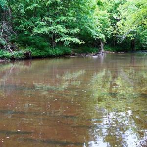Photo #1 of 1240 Moschler, Gretna, VA 512.9 acres