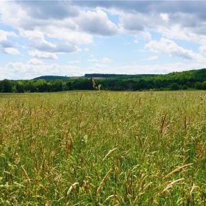 Photo #28 of 1240 Moschler, Gretna, VA 512.9 acres