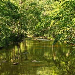 Photo #20 of 1240 Moschler, Gretna, VA 512.9 acres
