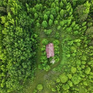 Photo #9 of 1240 Moschler, Gretna, VA 512.9 acres