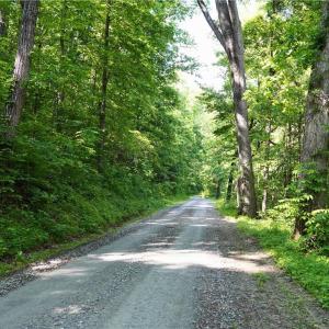 Photo #30 of 1240 Moschler, Gretna, VA 512.9 acres
