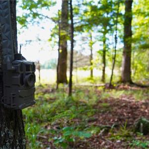 Photo #34 of 1240 Moschler, Gretna, VA 512.9 acres