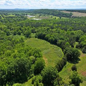 Photo #10 of 1240 Moschler, Gretna, VA 512.9 acres