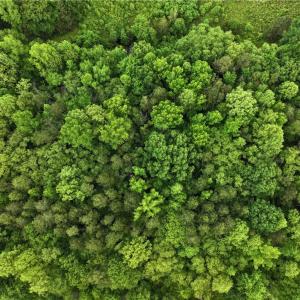 Photo #14 of 1240 Moschler, Gretna, VA 512.9 acres