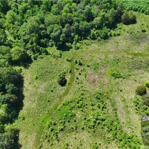 Photo #18 of 1240 Moschler, Gretna, VA 512.9 acres