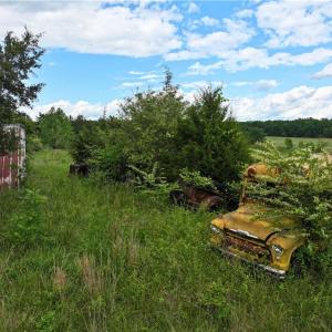 Photo #15 of 1240 Moschler, Gretna, VA 512.9 acres