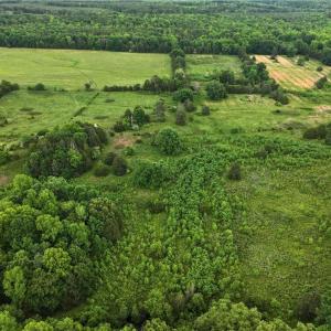 Photo #19 of 1240 Moschler, Gretna, VA 512.9 acres