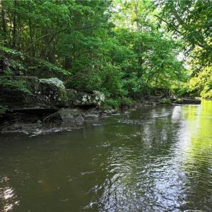 Photo #4 of 1240 Moschler, Gretna, VA 512.9 acres