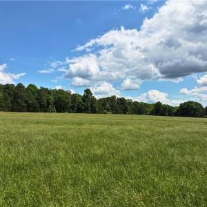 Photo #21 of 1240 Moschler, Gretna, VA 512.9 acres