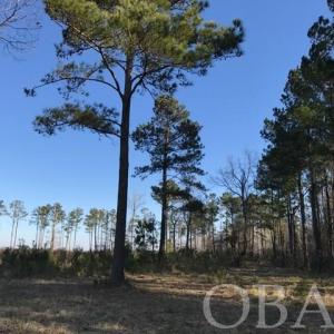 Photo #19 of Mallard Drive, Roper, NC