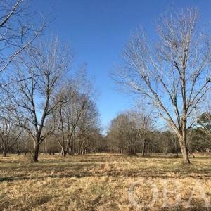 Photo #20 of Mallard Drive, Roper, NC