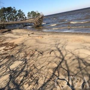 Photo #23 of Mallard Drive, Roper, NC