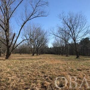 Photo #26 of Mallard Drive, Roper, NC