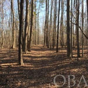 Photo #27 of Mallard Drive, Roper, NC