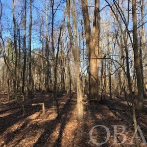 Photo #28 of Mallard Drive, Roper, NC