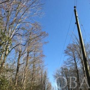 Photo #30 of Mallard Drive, Roper, NC