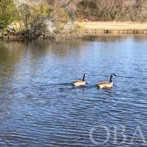 Photo #31 of Mallard Drive, Roper, NC