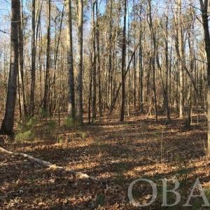 Photo #10 of Mallard Drive, Roper, NC